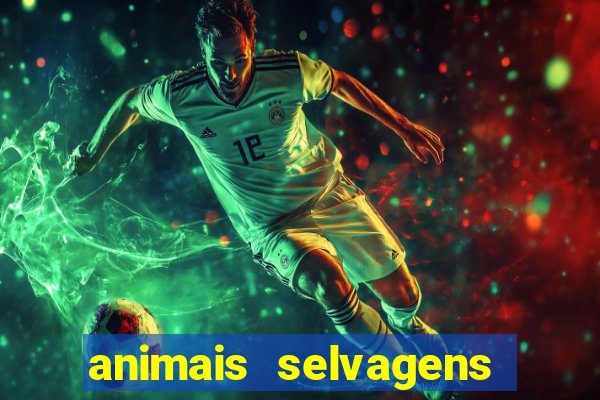 animais selvagens fotos e nomes